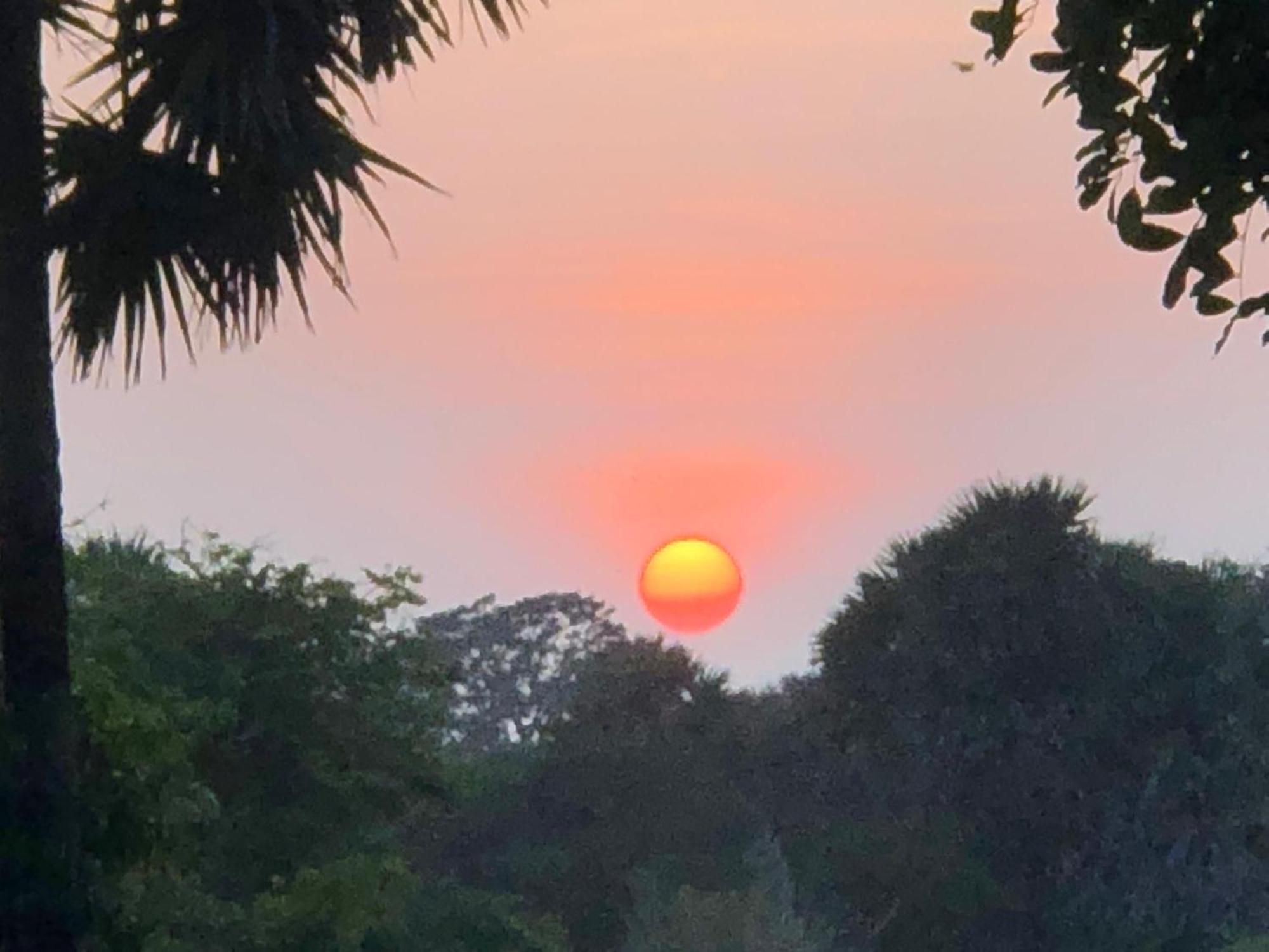 Sunset View Beach Hotel Arugam Bay Exterior foto